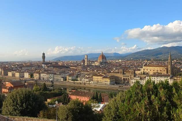 Tour Privato a Firenze e Pisa con Torre
