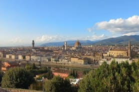 Private Tour in Florence and Pisa with Tower