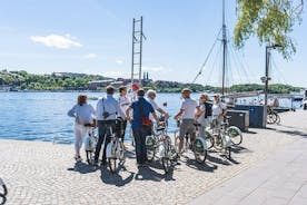 스톡홀름의 도시 보물 개인 자전거 투어
