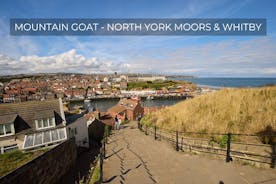 Excursão de um dia a North York Moors e Whitby saindo de York