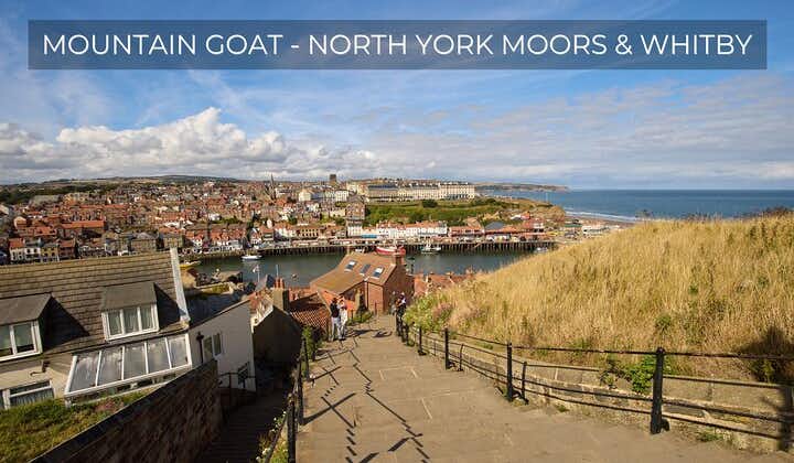 North York Moors and Whitby Day Tour from York