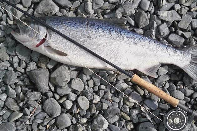Principiantes: Lección de pesca con mosca de salmón / trucha marina. Lago Kylemore. Guiada. Medio día / día completo