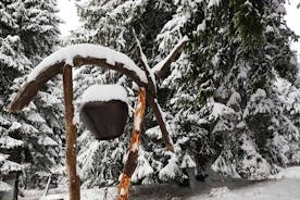 Privat snöskovandring Vitosha i 1 dag