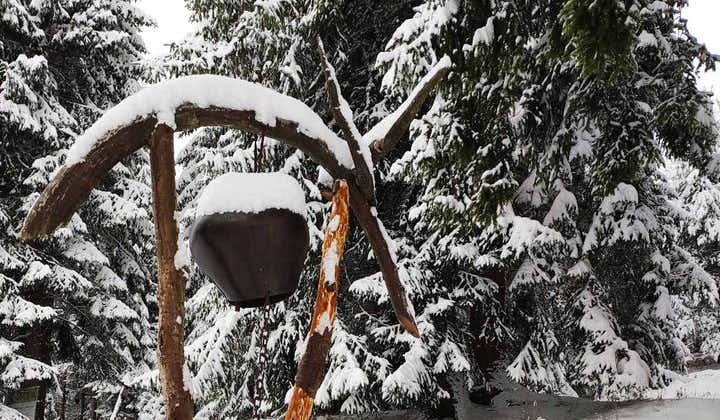 Privates Schneeschuhwandern in Vitosha für 1 Tag