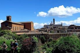 PRIVATE TOUR: Besuchen Sie Siena und Chianti mit Mittagessen und Weinprobe