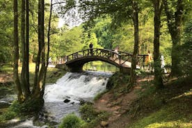 Privat guidet tur til vakre Vrelo Bosne i Sarajevo