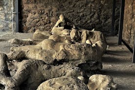  Pompeii guidet tur fra Amalfikysten