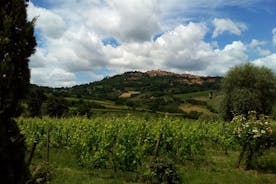 Montalcino and Pienza Tuscany Wine&Cheese ShoreExcursion from Civitavecchia Port
