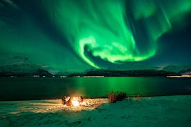 Northern Lights Chasing With Arctic Circle Tours, N-L Guarantee, Hot meal, Photo