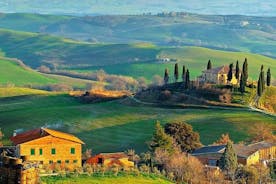 Tur og vinsmaking med liten gruppe i den toskanske landsbygda