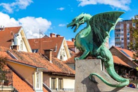 Prive-rondleiding door de stad naar Ljubljana vanuit Ljubljana