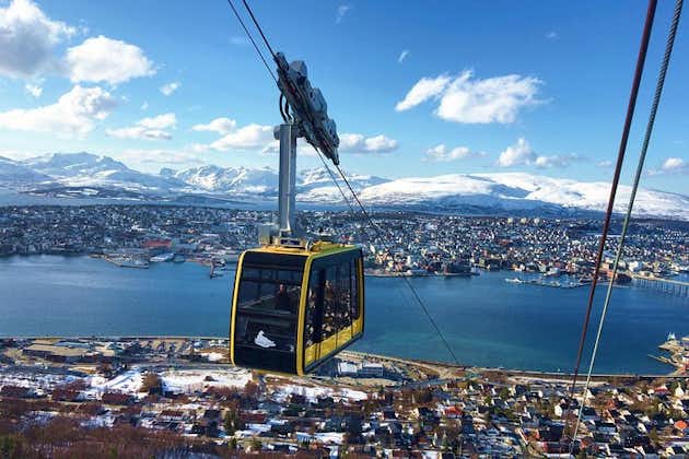 Arctic Panorama cable car excursion