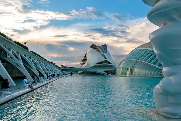 Valencia architettonica: tour privato con un esperto locale