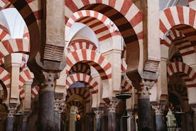 Private Tour of Cordoba Week Days 3 Hours