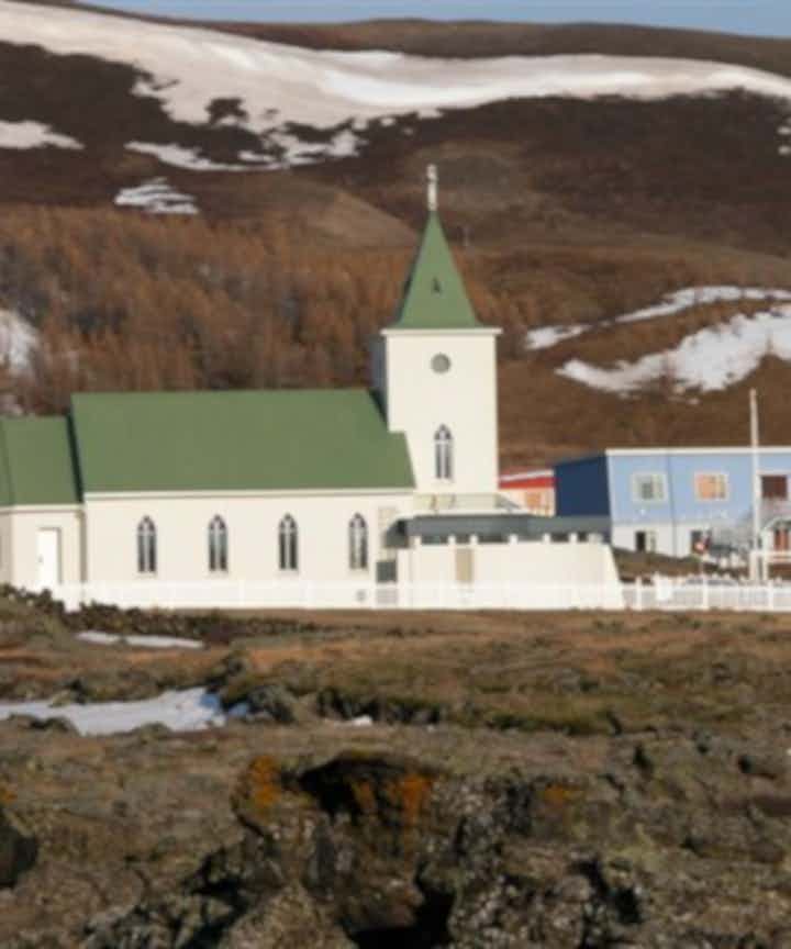 アイスランド、レイキャフリーズの旅行と小旅行