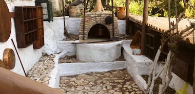 Visite privée originale dans les villages de Lefkada Dégustation de vin et photo (sur mesure)