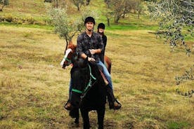 Horseback ride and Poolside Day chillout with Tuscan Lunch