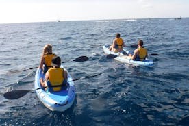 Excursion guidée en kayak et déjeuner Paella sur la plage de Valence