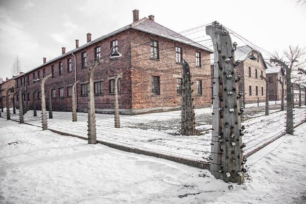 从克拉科夫出发：奥斯威辛-比克瑙纪念馆和博物馆导览游