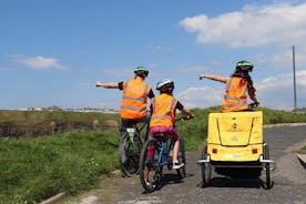 Self Guided Bike Tour on the Limerick Greenway