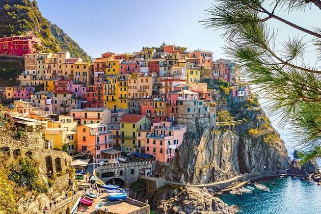 Private 8-hour Tour from Livorno Cruise Port to Cinque Terre