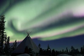 Slederit met husky's tijdens Northern Lights Tour vanuit Kiruna