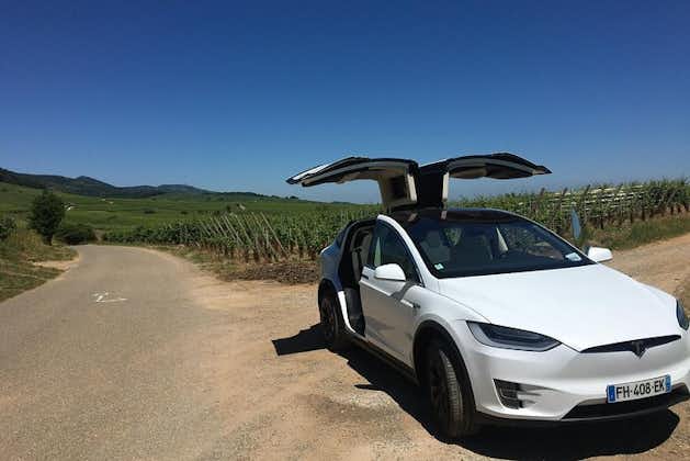 Alsace Tour: Degustação de vinhos, aldeias e visitas ao castelo com um simpático motorista Tesla