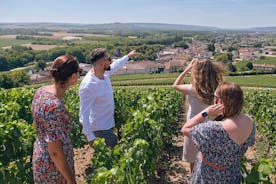 Reims : morning Champagne Pommery and family grower small group tour