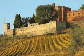 Chianti och slott liten grupptur från San Gimignano