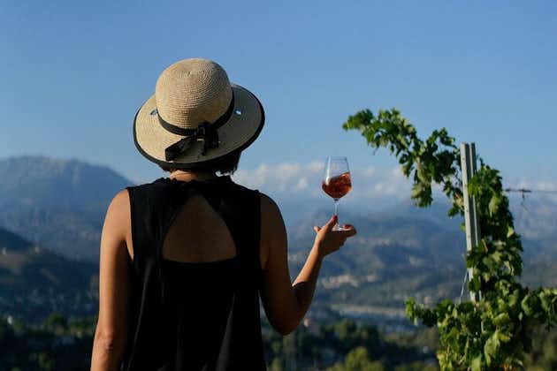 Weinbergtour mit Weinprobe innerhalb der Stadtgrenzen von Nizza