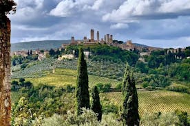Balade à cheval, visite de S.Gimignano, déjeuner toscan, dégustation de vins, cave du Chianti