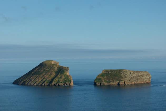 Cabras-øyene, Terceira-øya | OceanEmotion