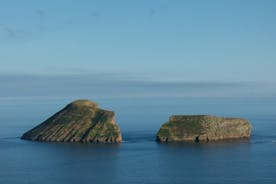Cabras Islets, Insel Terceira | OceanEmotion