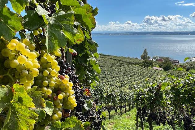 Lake Constance wine tour > day tour > wine tasting at 3 winemakers