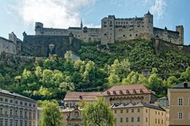 Privater Transfer von Mainz nach Salzburg, englischsprachiger Fahrer