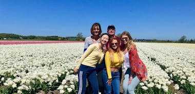 Small Group Tulip and Spring Flower Fields Bike Tour
