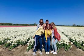Kleine Gruppe Tulip und Frühling Flower Fields Bike Tour