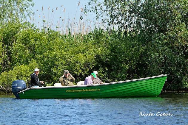 Visita guiada de observación de aves al delta del Danubio - programa privado
