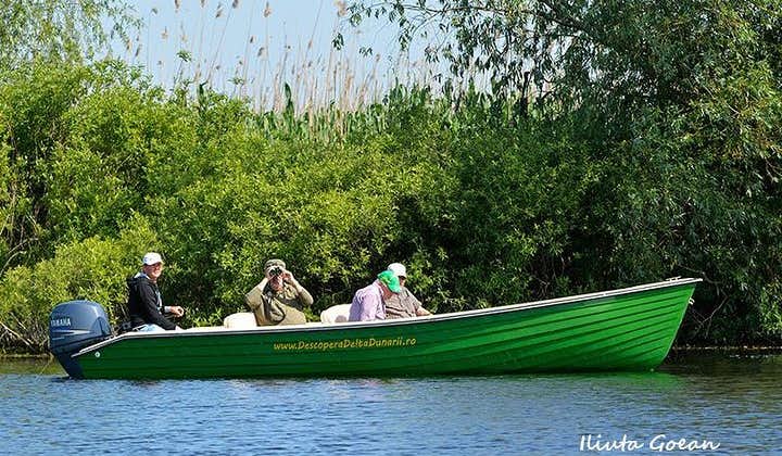 Guided Birdwatching day trip to the Danube Delta - private program