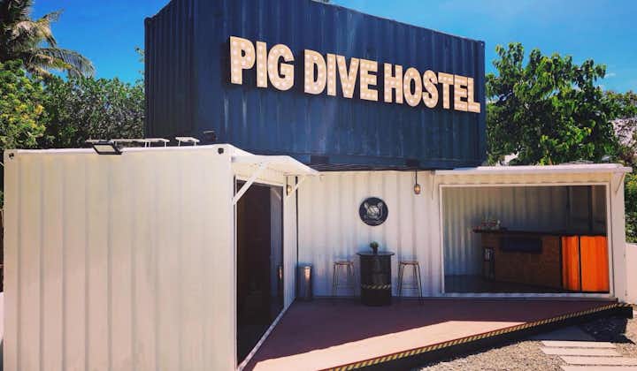 Pig Dive Hostel