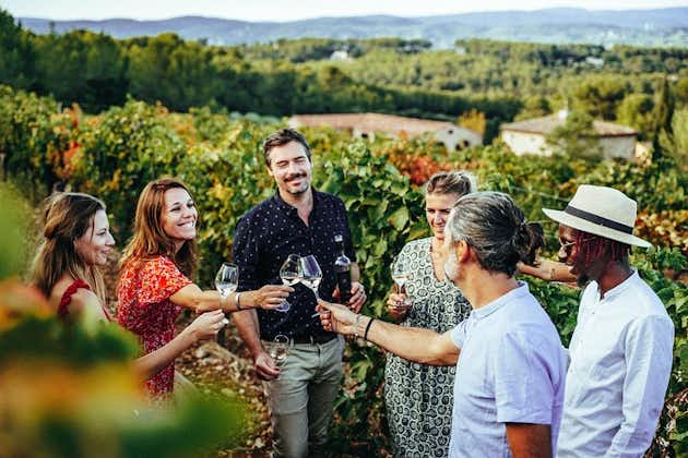 Provence Wine Tour - Excursion privée d'une journée au départ de Nice