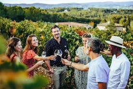 Provence Wine Tour - Yksityinen päiväretki Nizzasta