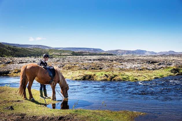 Ridetur på islandske heste med afgang fra Reykjavik