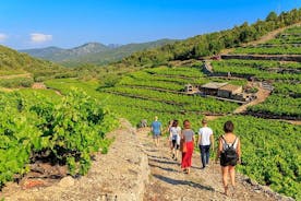 Peljesac&Ston liten gruppe mat- og vinopplevelse fra Dubrovnik