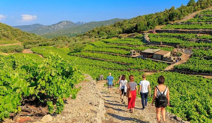 Peljesac&Ston Small-Group Food & Wine Experience from Dubrovnik