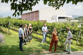 Rondleiding en proeverij van biologische wijnen in Lazise