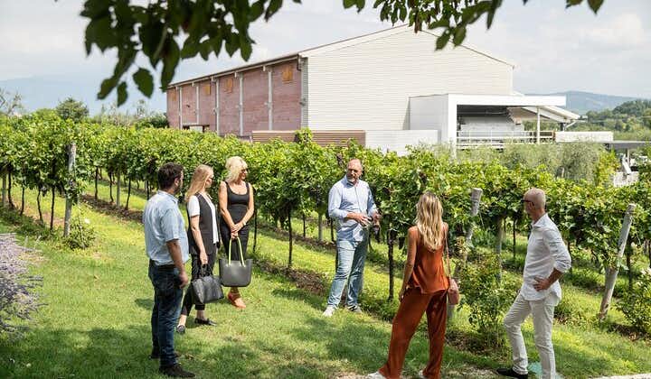 Tour and Tasting of Organic Wines in Lazise