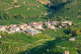 Recorrido de día completo por los enclaves del vino prosecco, encantadores pueblos y villa palaciega 