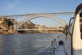 Private Boat Tour on the Douro River from Porto