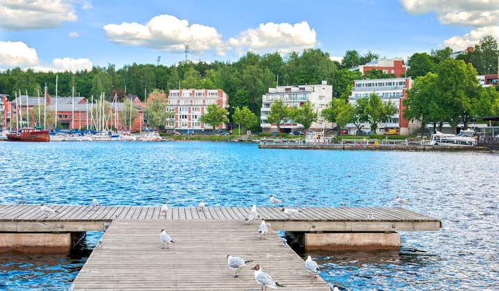 Photo of Lappeenranta. Fonland. Small wooden pier with seagulls on The Saimaa Lake.